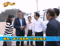 栽下梧桐樹 引得鳳凰來(lái)