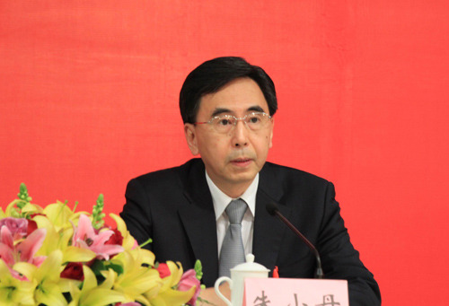 朱小丹治粵:操盤(pán)嶺南大地的不俗身段